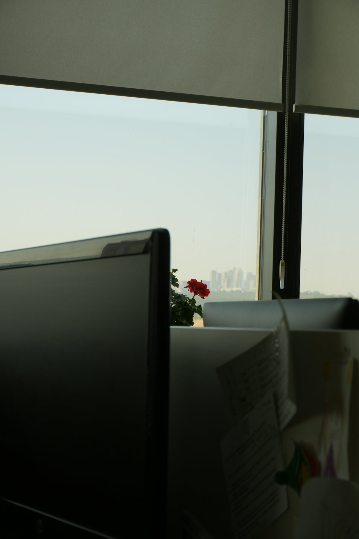 Office desk with computer monitor and rose by window.